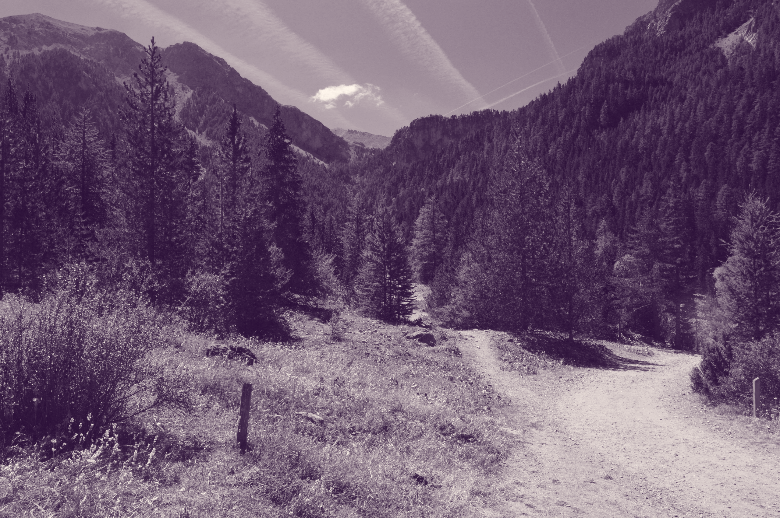 photo chemin en montagne